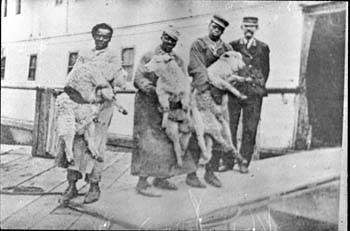 four-men-and-dogs